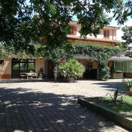 Guesthouse Skofije Ob Parenzani Spodnje Skofije エクステリア 写真
